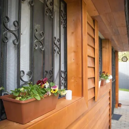 Family Wellness Jacuzzi Sauna Wood Fired Hot Tub 8 Min From Heviz Apartment Rezi
