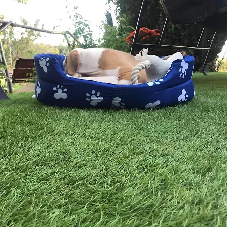 Family Wellness Jacuzzi Sauna Wood Fired Hot Tub 8 Min From Heviz *