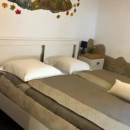 Family Wellness Jacuzzi Sauna Wood Fired Hot Tub 8 Min From Heviz * Rezi